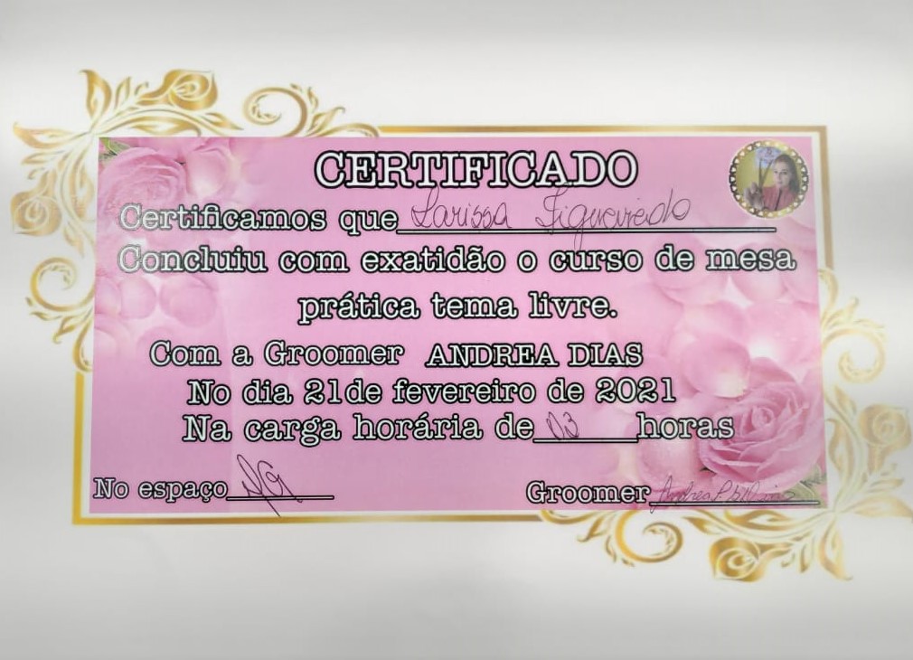 Curso